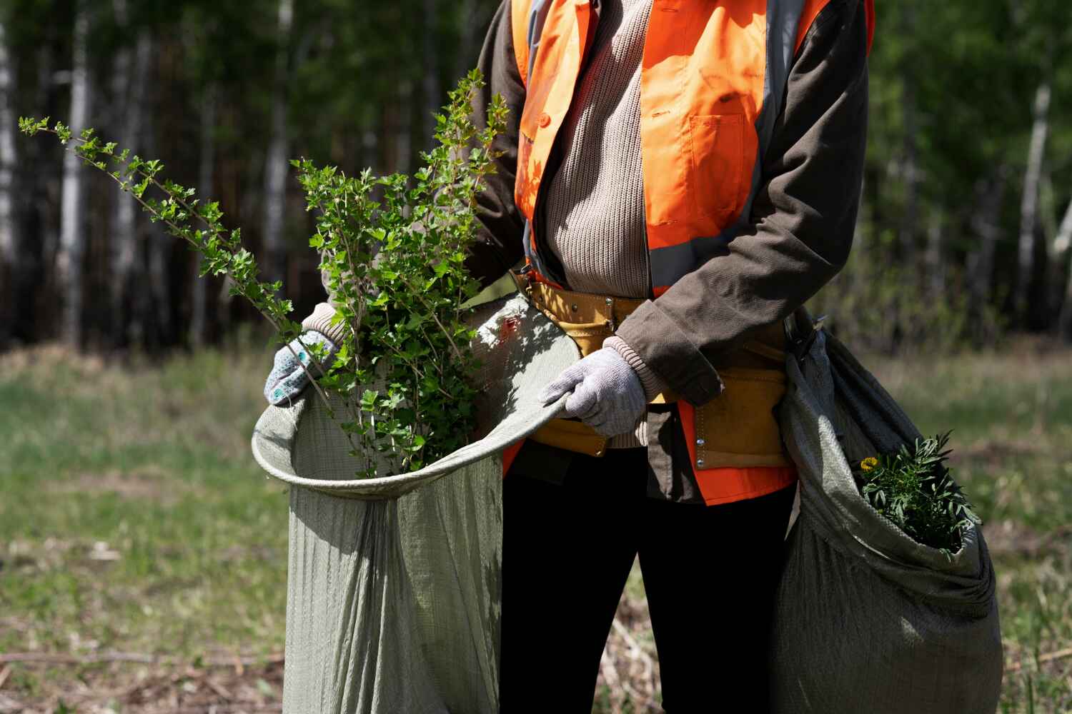 Best Commercial Tree Services  in Seminole Manor, FL